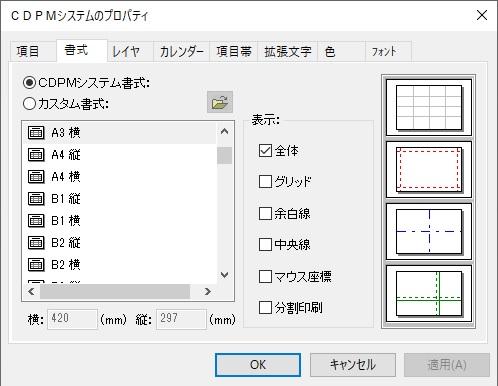 カスタム書式の利用 CDPM-Xsp3 画面例 2